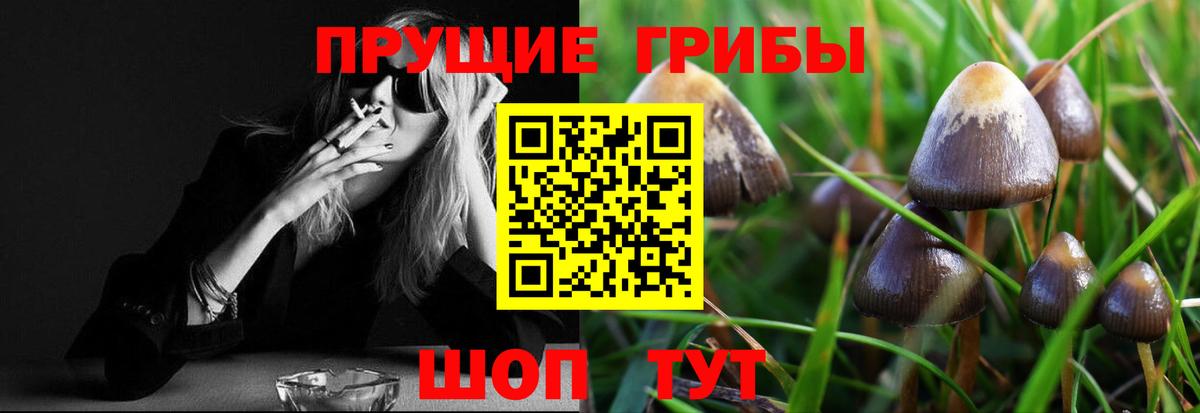 Галлюциногенные грибы GOLDEN TEACHER  цены   Арсеньев  Вход с VPN 